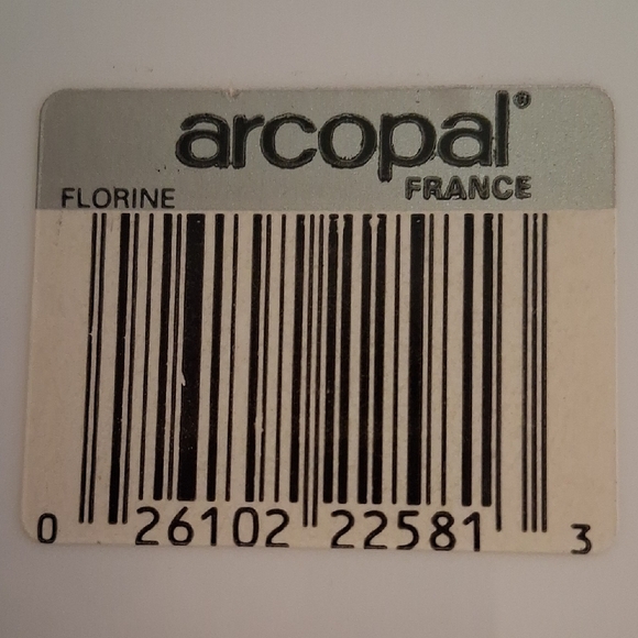 10 PC Arcopal France Florine Milk Glass Dinnerware Set - Blue Floral - Picture 14 of 14